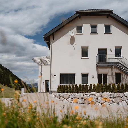 Kalkalpen Apartments Шпиталь-ам-Пихрн Экстерьер фото